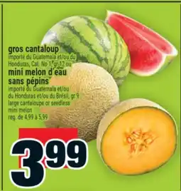 Super C GROS CANTALOUP | LARGE CANTALOUPE offer