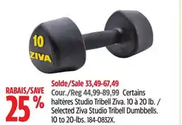 Canadian Tire Selected Ziva Studio Tribell Dumbbells offer