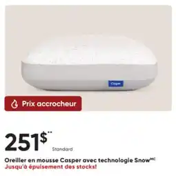 Dormez Vous Oreiller en mousse Casper avec technologie Snow offer