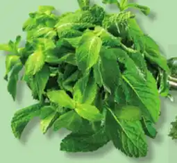 IGA FRESH MINT, CORIANDER, DILL, ITALIAN OR CURLY PARSLEY offer