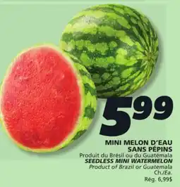 IGA SEEDLESS MINI WATERMELON offer
