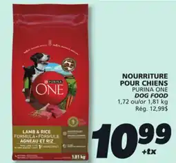 IGA PURINA ONE DOG FOOD offer