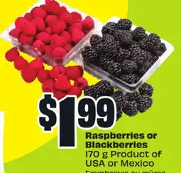 FreshCo Raspberries or Blackberries 170g Product of USA or Mexico offer