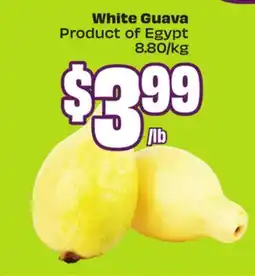 FreshCo White Guava, Product of Egypt - Ramadan offer