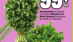 FreshCo Drumstick Product of India Cilantro or Mint Bunch Product of USA or Mexico offer