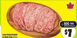 FreshCo Lean Ground Beef Or Pork Tray offer