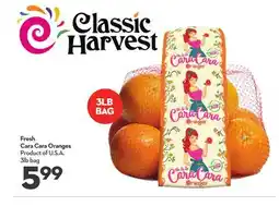 Longo's Fresh Cara Cara Oranges offer