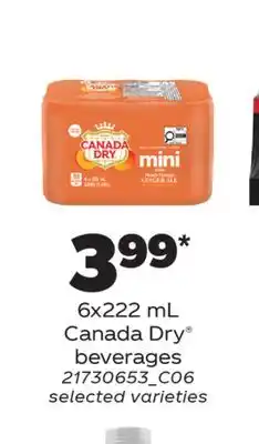 Real Canadian Superstore CANADA DRY BEVERAGES offer