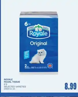 Wholesale Club FACIAL TISSUE, 6'S offer