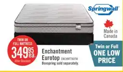 The Brick Springwall Enchantment Eurotop Twin Mattress offer