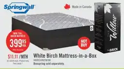 The Brick Springwall White Birch Tight Top Firm Twin Mattress-in-a-Box offer