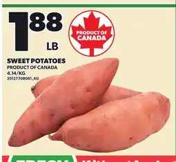 Loblaws SWEET POTATOES offer