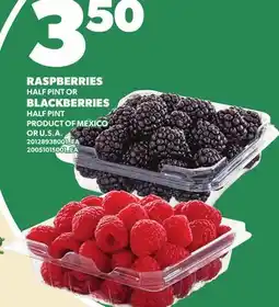 Loblaws RASPBERRIES OR BLACKBERRIES offer