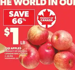 Loblaws FUJI APPLES offer