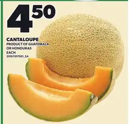 Loblaws CANTALOUPE offer