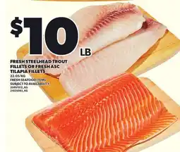 Loblaws FRESH STEELHEAD TROUT FILLETS OR FRESH ASC TILAPIA FILLETS offer