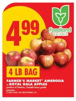 No Frills FARMER'S MARKET AMBROSIA or ROYAL GALA APPLES, 4 LB BAG offer