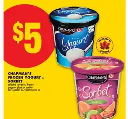 No Frills CHAPMAN'S FROZEN YOGURT or SORBET offer