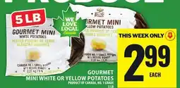 Food Basics GOURMET MINI WHITE OR YELLOW POTATOES offer