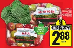 Food Basics APPLES, AVOCADOS offer