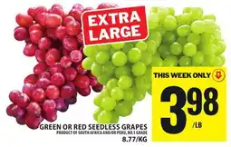 Food Basics GREEN OR RED SEEDLESS GRAPES offer