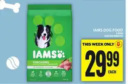 Food Basics IAMS DOG FOOD offer