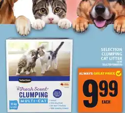 Food Basics SELECTION CLUMPING CAT LITTER offer