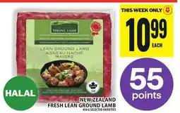 Food Basics NEW ZEALAND FRESH LEAN GROUND LAMB offer