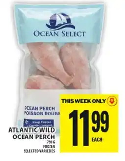 Food Basics ATLANTIC WILD OCEAN PERCH offer