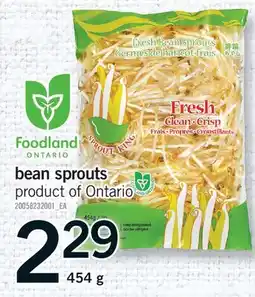 Fortinos BEAN SPROUTS BEAN offer