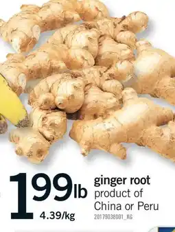Fortinos GINGER ROOT offer