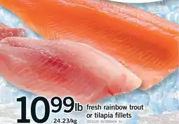 Fortinos FRESH RAINBOW TROUT OR TILAPIA FILLETS offer