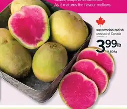 Fortinos WATERMELON RADISH, 8.80/KG offer