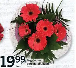 Fortinos LARGE OR MINI GERBERA BOUQUETS offer