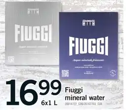 Fortinos FIUGGI MINERAL WATER offer