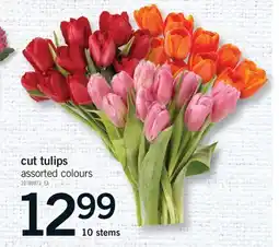 Fortinos CUT TULIPS TULIPS, 10 STEMS offer