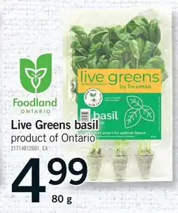Fortinos LIVE GREENS BASIL offer