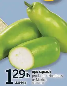 Fortinos OPO SQUASH offer