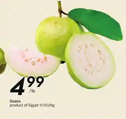 Sobeys Guava offer