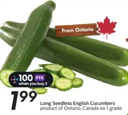 Sobeys Long Seedless English Cucumbers offer