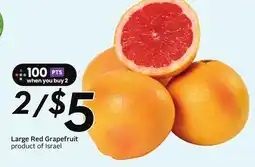 Sobeys Large Red Grapefruit - Citrus Fest offer