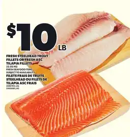 Independent Grocer FRESH STEELHEAD TROUT FILLETS OR FRESH ASC TILAPIA FILLETS offer