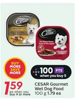 Sobeys CESAR Gourmet Wet Dog Food offer