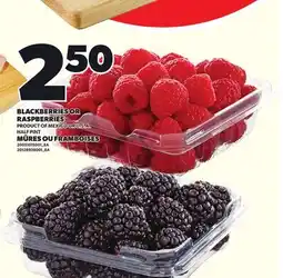 Independent Grocer BLACKBERRIES OR RASPBERRIES offer