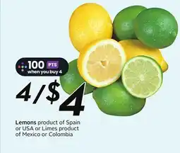 Sobeys Lemons - Citrus Fest offer