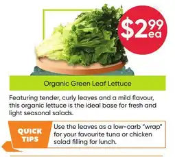Healthy Planet Organic Green Leaf Lettuce offer