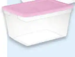 Walmart 55 L Storage tote offer