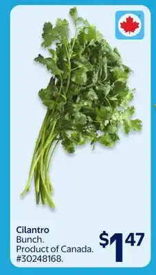 Walmart Cilantro offer