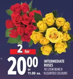 Metro INTERMEDIATE ROSES offer