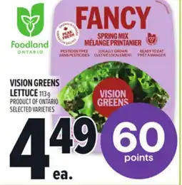 Metro VISION GREENS LETTUCE offer